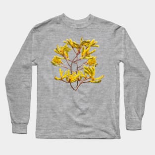 Australian Native Plant Kangaroo Paw Long Sleeve T-Shirt